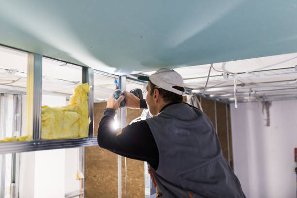 Best Spray Foam Insulation in Valmeyer, IL