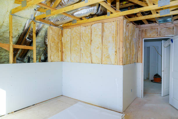 Best Geographic-Specific Insulation Services in Valmeyer, IL