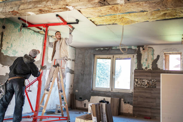 Best Cellulose Insulation in Valmeyer, IL