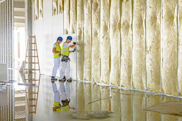 Best Cellulose Insulation in Valmeyer, IL